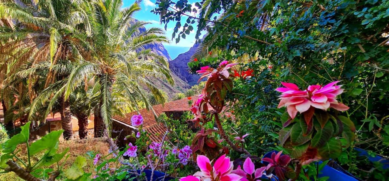 Paradise Tenerife San Miguel de Abona Kültér fotó